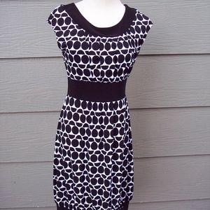 White House Black Market Cocktail Stretch Dress S